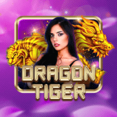 Dragon Tiger live casino at Bingo Game Patterns