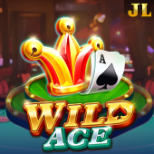 Wild Ace slot at Bingo Game Patterns